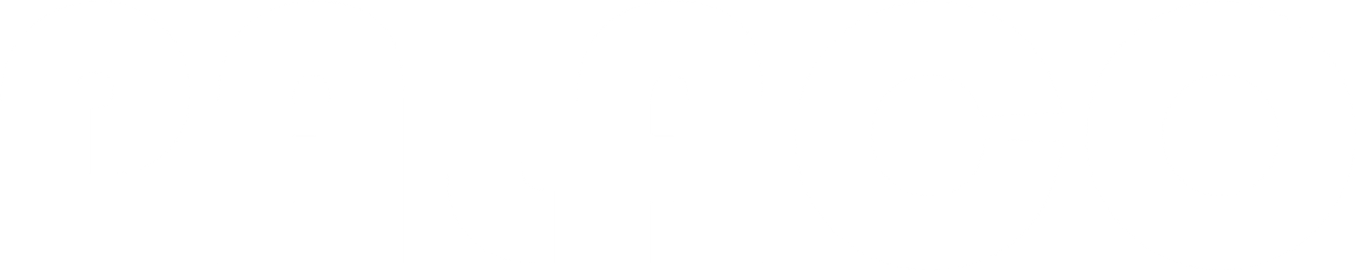 logo Palaco